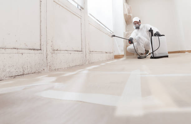 24/7 Emergency Mold Cleanup experts in Kingston, IL