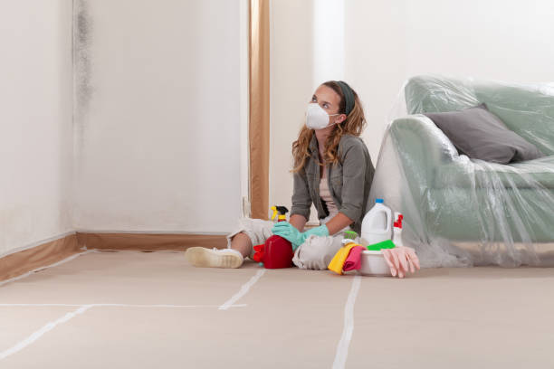 Reliable Mold Cleanup contractor in Kingston, IL by WQB Mold Removal